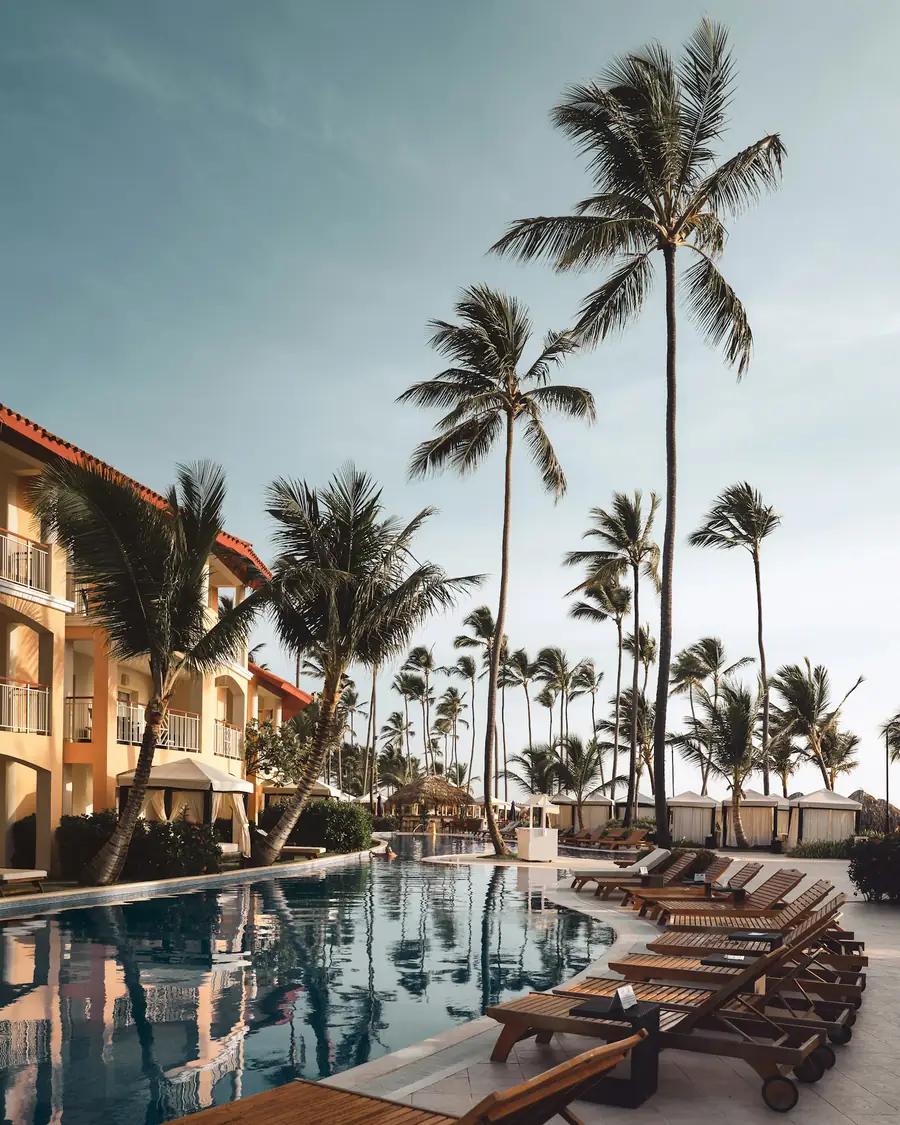 Pool lined with palm trees and wooden loungers