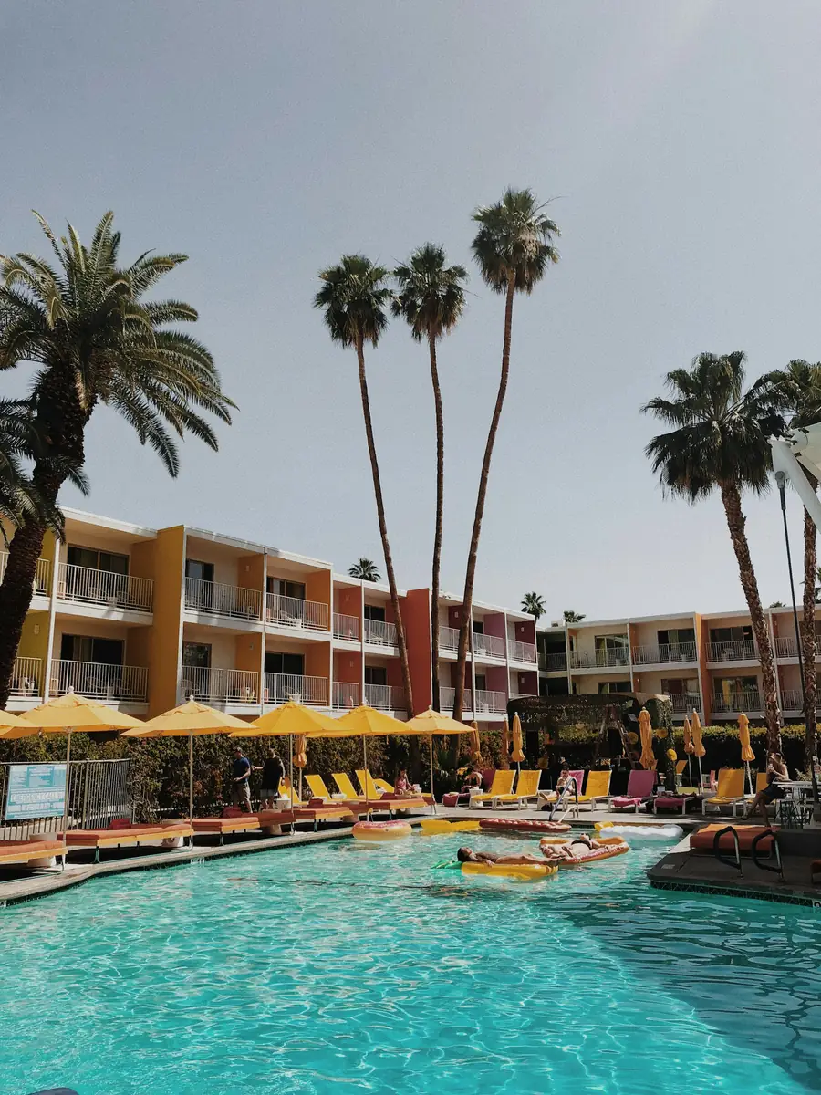 Pool lined with palm trees and loungers